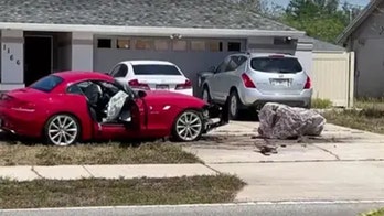 Florida woman killed, brother injured by distracted driver while walking their dog, deputies say