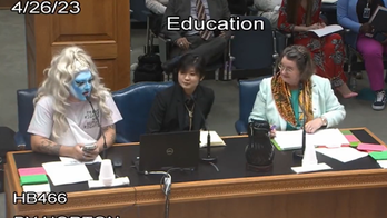 'Big Gay Baby' drag queen testifies against bill that would ban gender identity curriculum from classrooms