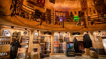 Former Disney World worker took hundreds of 'upskirt' videos of unsuspecting women for years: Police