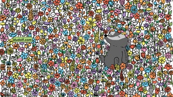 Brain teaser: Can you find 5 butterflies among the flowers?
