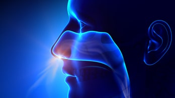 COVID vaccine nasal spray shows strong immune response in study: 'Could be a game changer'