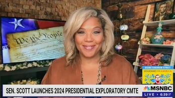 Lincoln Project advisor goes to MSNBC to blast Tim Scott as a ‘racial security blanket,’ ‘pacifier’ for GOP