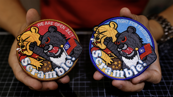 Taiwan Air Force mocks Chinese President Xi Jinping with patch of Winnie the Pooh being punched
