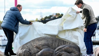 Life-size statue of beloved walrus controversially euthanized in Norway unveiled in capital