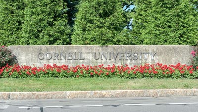 Defense attorney in Cornell case says client is innocent, calls on social media to 'put down their pitchforks' - Fox News