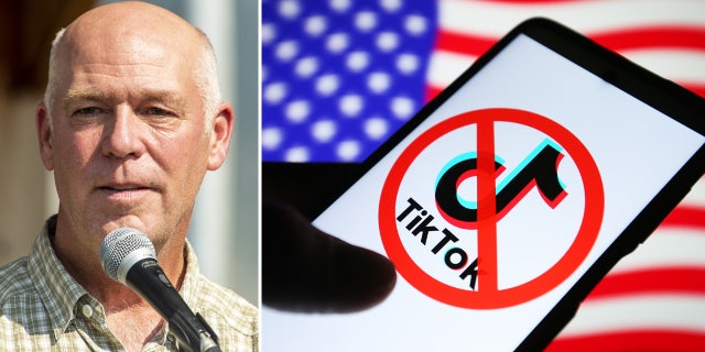 Greg Gianforte, TikTok
