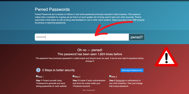 Enter your information in the giant box and check if you've been "pwned."