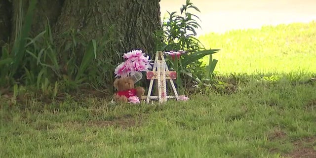 The Fort Worth, Texas family placed a memorial for Natavia Lewis who was accidentally shot by her older sister in a fatal mishap.