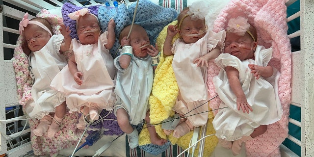 Ladner quintuplets