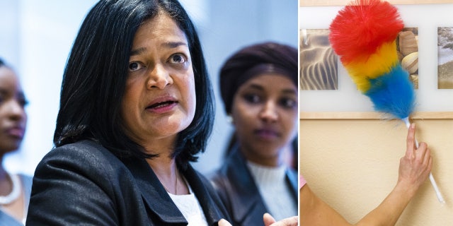 Pramila Jayapal, immigrants