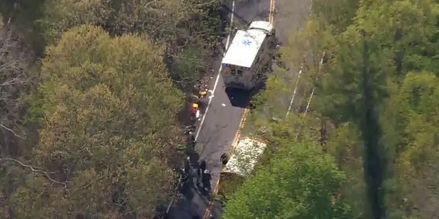 School bus crash NY