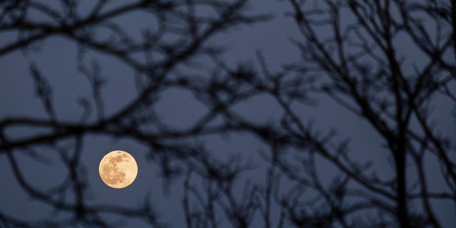 The full moon, the pink moon of April, is seen between the silhouettes of trees and branches in the sky of Girona, Spain. 