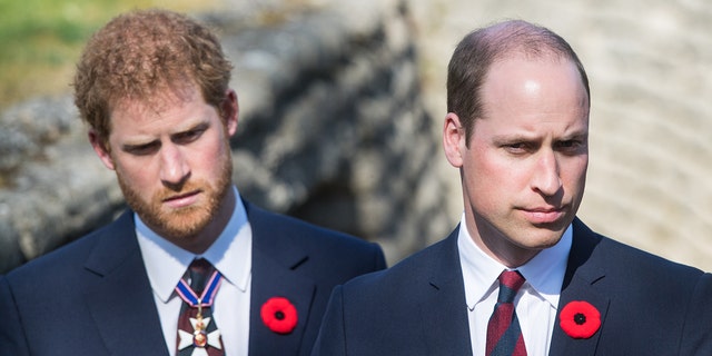 According to royal experts, Prince Harry and Prince William haven't spoken since Queen Elizabeth II's funeral in September.