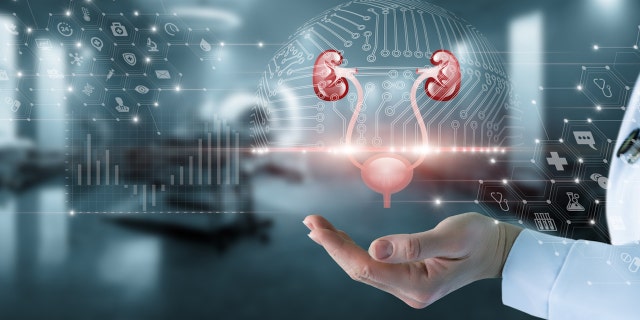 AI prostate test