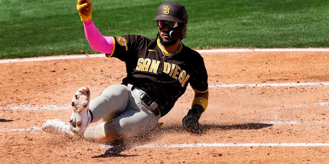 San Diego Padres' Fernando Tatis Jr. scores on a base hit by Matt Carpenter during the third inning of a spring training baseball game against the Los Angeles Angels, Friday, March 24, 2023, in Tempe, Ariz.