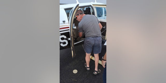 Above, snake handler Johan de Klerk searches for the venomous Cape cobra that made its way on board a recent flight.