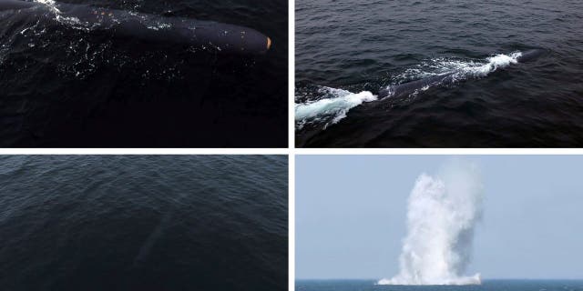 This combination of photos provided by the North Korean government, shows what it says a test of underwater strategic weapon system held during April 4 - 7, 2023 in the waters off South Hamgyong province, North Korea.