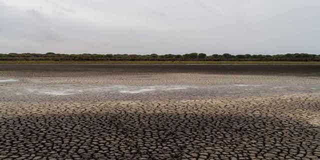 Cracks in the mud are seen in a dry wetland in Donana natural park, Spain, on Oct. 19, 2022. Lawmakers in the Andalusia region are set on April 12, 2023, to vote in favor of rezoning lands near one of Europe’s most prized wetlands as irrigable against the advice of ecologists.