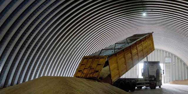A dump truck unloads grain in the village of Zghurivka, Ukraine, on Aug. 9, 2022. Poland’s new agriculture minister vowed on April 12, 2023, to introduce quality controls on the inflow of grain from Ukraine that has been transiting through the country.