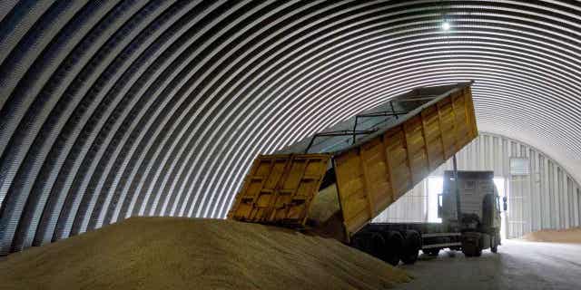 A dump truck unloads grain in the village of Zghurivka, Ukraine, on Aug. 9, 2022. Poland’s new agriculture minister vowed on April 12, 2023, to introduce quality controls on the inflow of grain from Ukraine that has been transiting through the country.