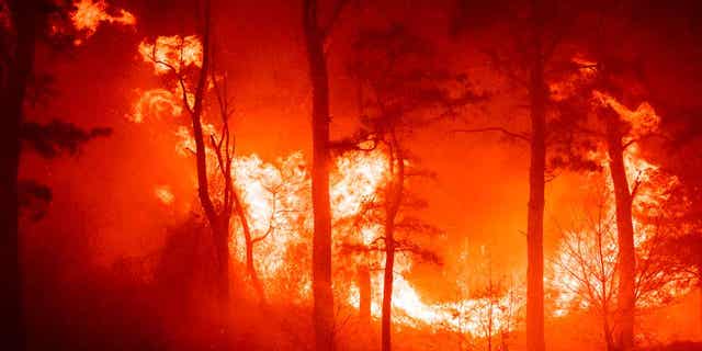A massive forest fire burns in Ocean County, New Jersey, on, April 12, 2023, as firefighters battle the blaze 