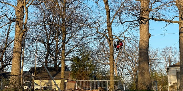 Balloons from a memorial for Tyreece Vachon, 19, who was shot and killed the previous day, are stuck in a tree after a shooting broke out during a memorial at McCormick Park on Wednesday, April 12, 2023, in Fort Wayne.  