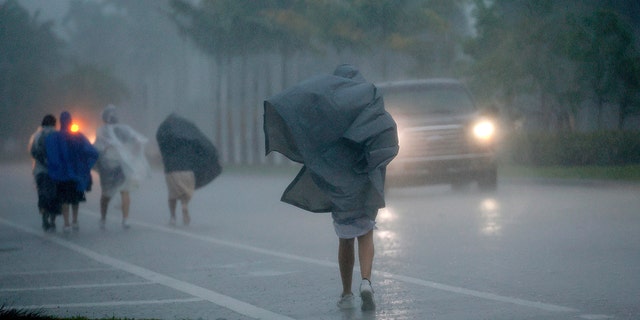 Un grupo de personas con impermeables camina hacia el este por Hollywood Blvd.  bajo la lluvia torrencial el miércoles 12 de abril de 2023 en Hollywood, Florida. 