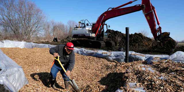 A worker shovels wood chips into a bioreactor