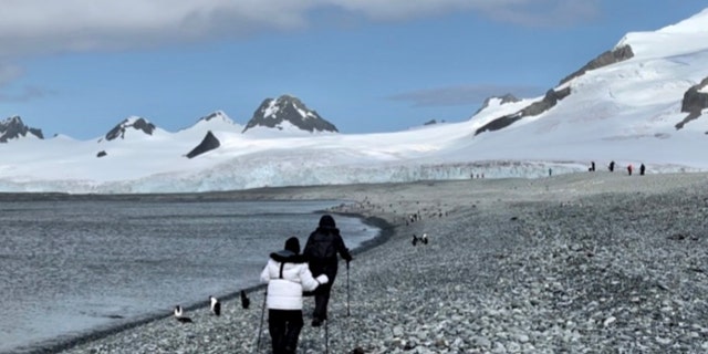 hiking in Antarctica
