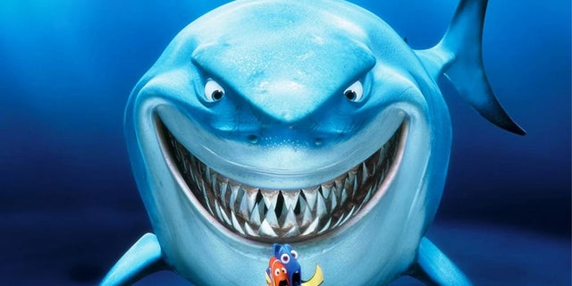 Bruce the shark is from the popular 2003 "Finding Nemo" movie.