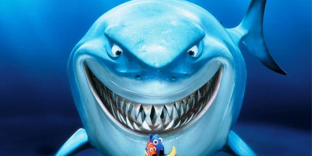 Bruce the shark is from the popular 2003 "Finding Nemo" movie.