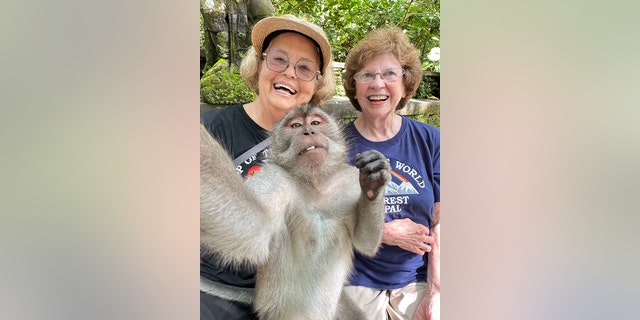 around the world in 80 monkey in Bali