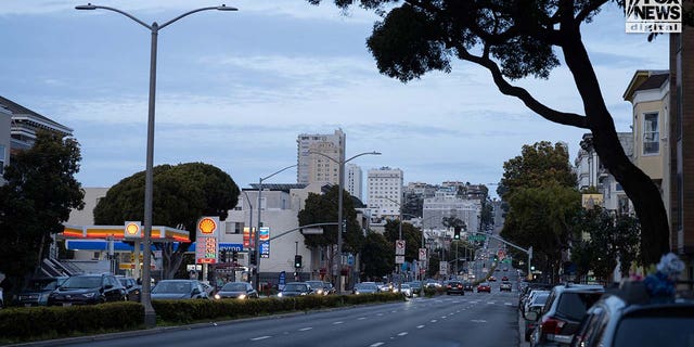 General view of the area surrounding Magnolia, Laguna and Lombard Streets in San Francisco April 7, 2023.