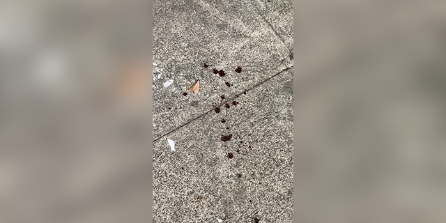 Apparent blood drops seen on the San Francisco sidewalk near where Cash App founder Bob Lee was found with stab wounds early Tuesday.