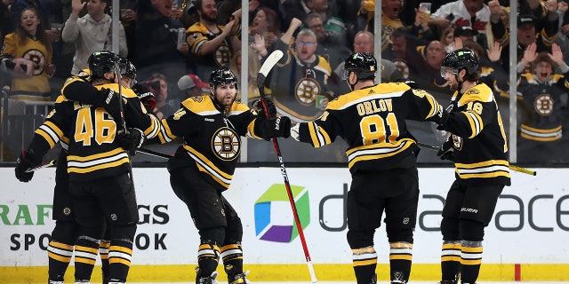 Los Bruins celebran su gol