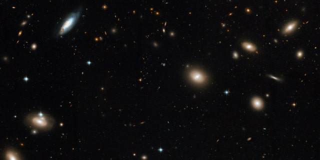 The Coma Cluster