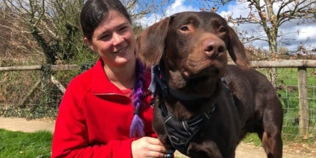 Coco is on the mend after four weeks of sedation to prevent more alcohol-induced seizures.