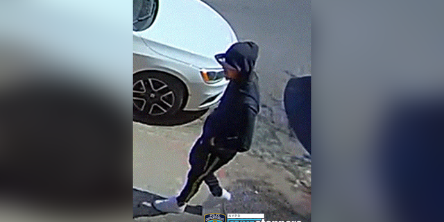 Male suspected of murdering an 83 year old man in Brooklyn caught on surveillance camera.