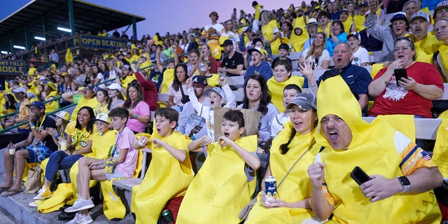 Savannah Bananas fans tend to dress up as bananas for the games. 