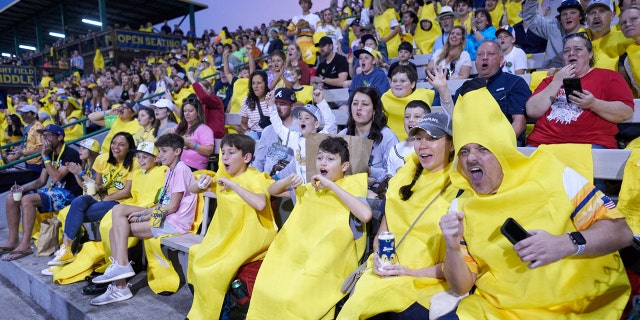 Savannah Bananas fans tend to dress up as bananas for the games.