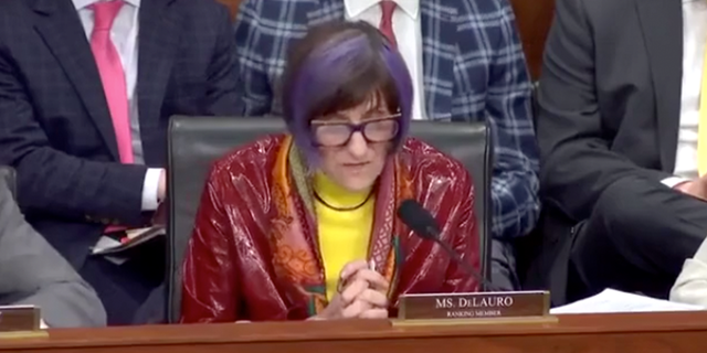 DeLauro at a hearing
