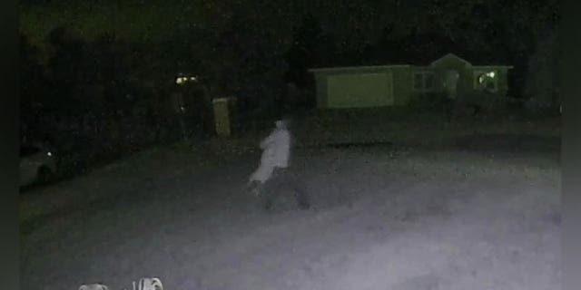 Surveillance video shows a dog getting abused in front of a home in Deltona, Florida.