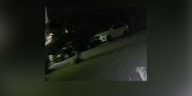 Las imágenes de vigilancia de una casa en Deltona, Florida, muestran a un perro siendo abusado.