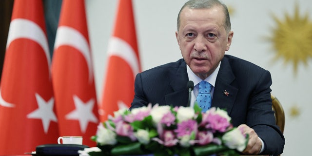 Turkish President Tayyip Erdogan