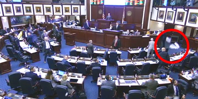 Pro-abortion protesters gathered at the Florida State Capitol were forced out of the House gallery Thursday after they threw debris at lawmakers who were debating a measure that would ban abortions after six weeks.