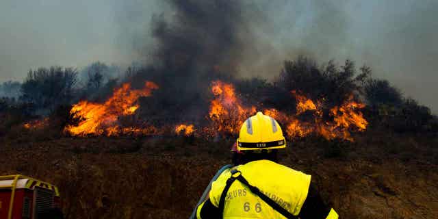 A firefighter is shown trying to put out a forest fire on April 16, 2023, near Cerbere, France. Hundreds of firefighters have been battling the country's biggest forest fire of the year.