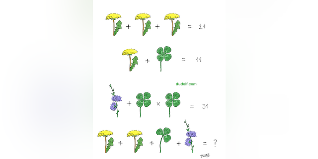 Have fun attempting this algebraic plant pictograph equation created by Gergely Dudás, which includes dandelions, four-leaf clovers, purple flowers and a hidden green sprig you might miss. Each plant has a numeric value. Can you solve the brain teaser?