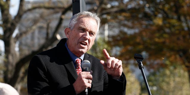 Robert Kennedy Jr. speaks during "Fire Drill Friday" climate change protest on November 15, 2019 in Washington, DC.
