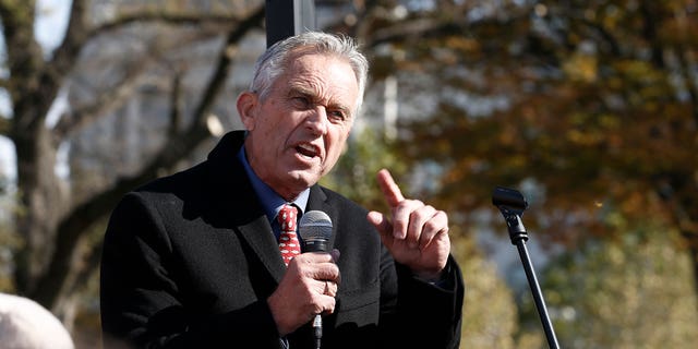 Robert Kennedy Jr. speaks during "Fire Drill Friday" climate change protest on November 15, 2019 in Washington, DC.