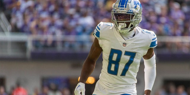 Quintez Cephus during an NFL game against the Vikings